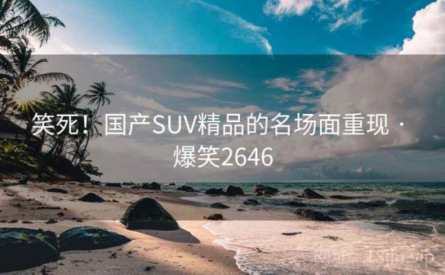 笑死！国产SUV精品的名场面重现 · 爆笑2646