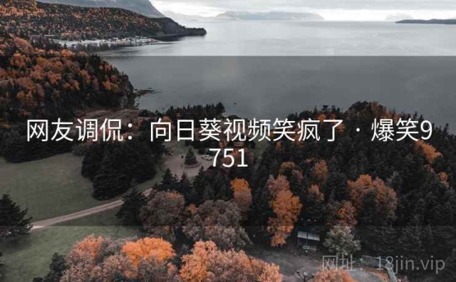 网友调侃：向日葵视频笑疯了 · 爆笑9751